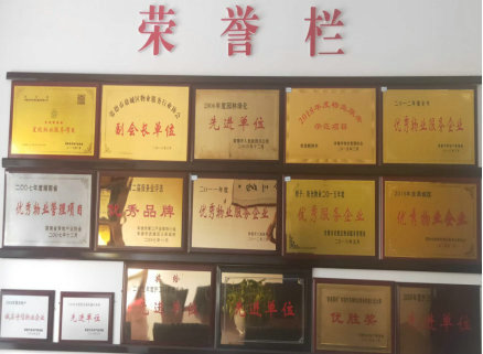 榮譽(yù)照片 榮譽(yù)照片